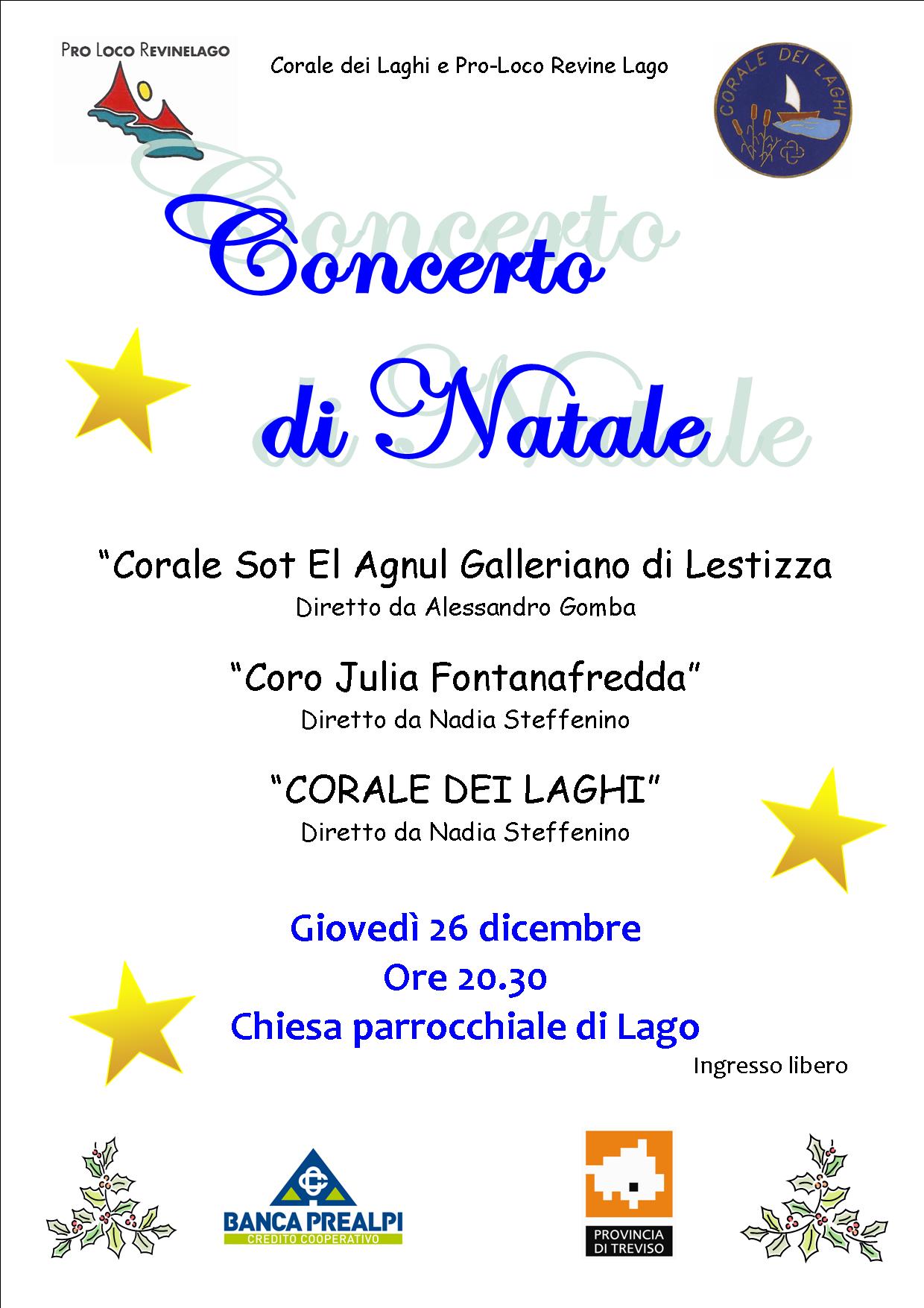 ConcertoNatale2013